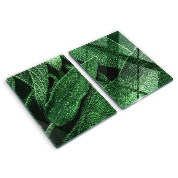 Kuchynská doska veľká zo skla Listy rastliny