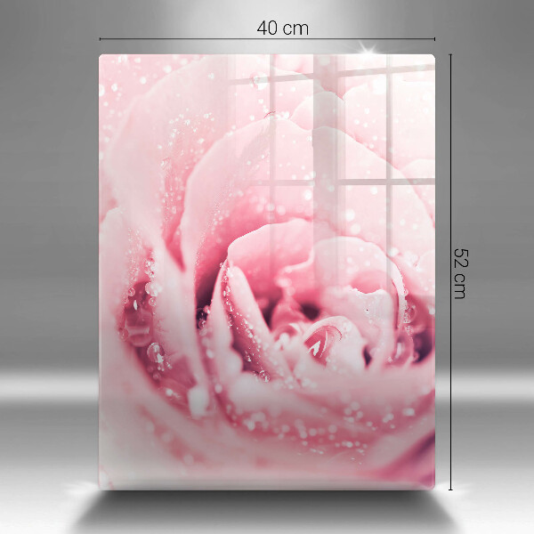 Kuchynská doska zo skla Kvapky rosy a kvet ruže