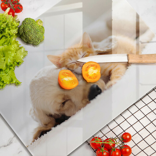 Sklenená doska na krájanie Zvieratá pes a mačka