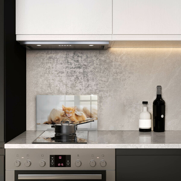 Sklenená doska na krájanie Zvieratá pes a mačka