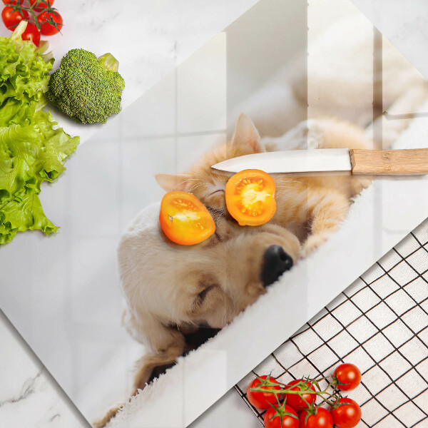 Sklenená doska na krájanie Zvieratá pes a mačka