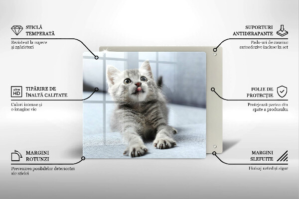 Sklenená doska na krájanie Malé roztomilé mačiatko