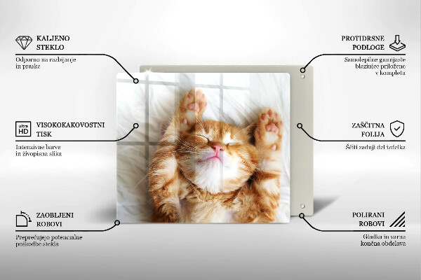 Sklenená doska na krájanie Malé roztomilé mačiatko