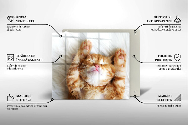 Sklenená doska na krájanie Malé roztomilé mačiatko