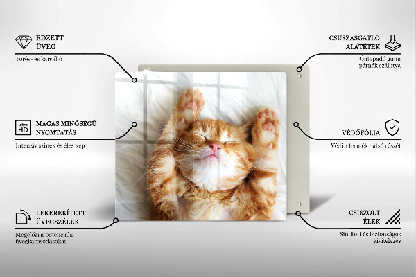 Sklenená doska na krájanie Malé roztomilé mačiatko