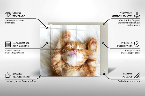 Sklenená doska na krájanie Malé roztomilé mačiatko