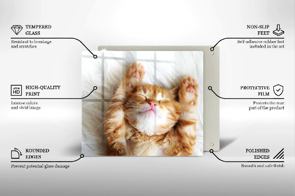 Sklenená doska na krájanie Malé roztomilé mačiatko