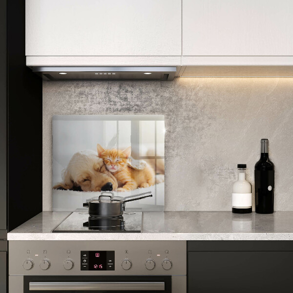 Sklenená doska na krájanie Zvieratá pes a mačka