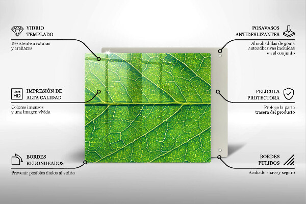 Sklenená doska na krájanie Prírodné žilky listov