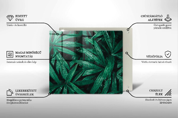 Sklenená doska na krájanie Listy rastlín