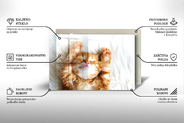 Kuchynská doska zo skla Malé roztomilé mačiatko