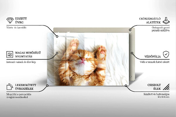 Kuchynská doska zo skla Malé roztomilé mačiatko