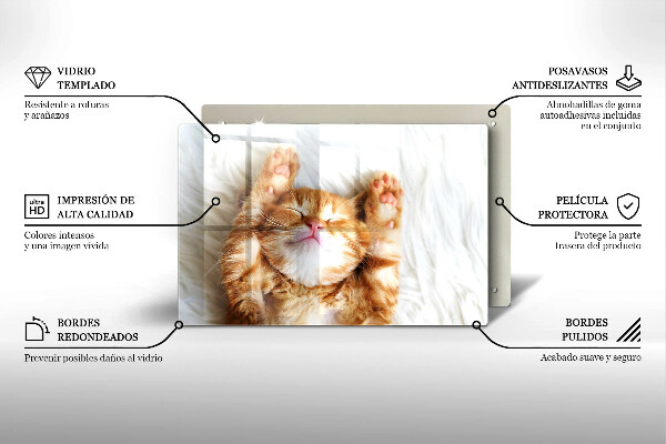 Kuchynská doska zo skla Malé roztomilé mačiatko