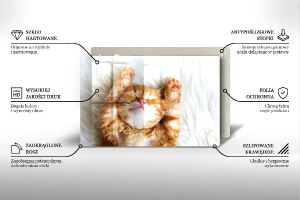 Kuchynská doska zo skla Malé roztomilé mačiatko