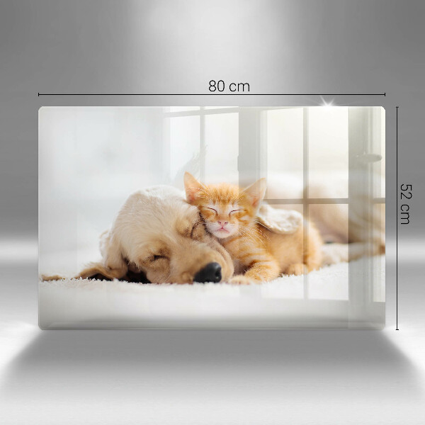 Kuchynská doska zo skla Zvieratá pes a mačka