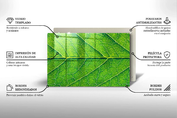 Kuchynská doska zo skla Prírodné žilky listov