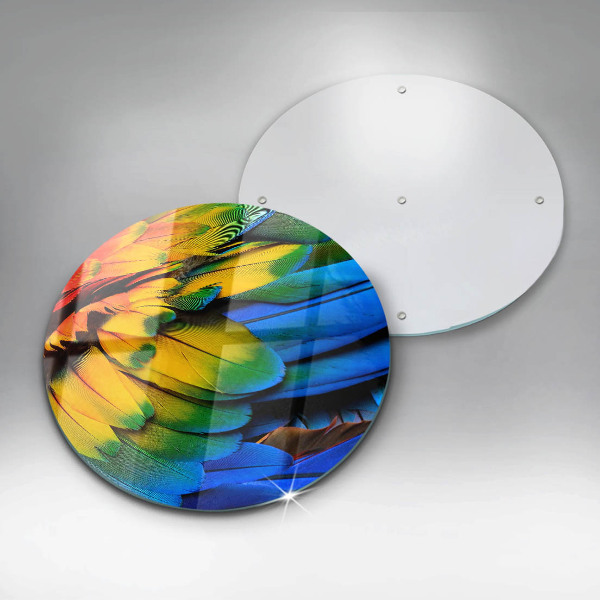 Kuchynská doska veľká zo skla Farebné papagájové perie