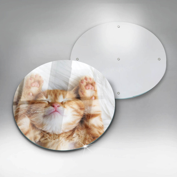 Kuchynská doska zo skla Malé roztomilé mačiatko