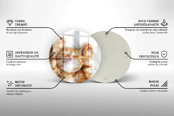 Kuchynská doska zo skla Malé roztomilé mačiatko
