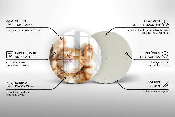 Kuchynská doska zo skla Malé roztomilé mačiatko