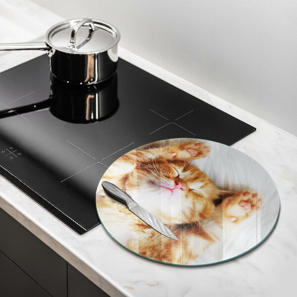 Kuchynská doska zo skla Malé roztomilé mačiatko