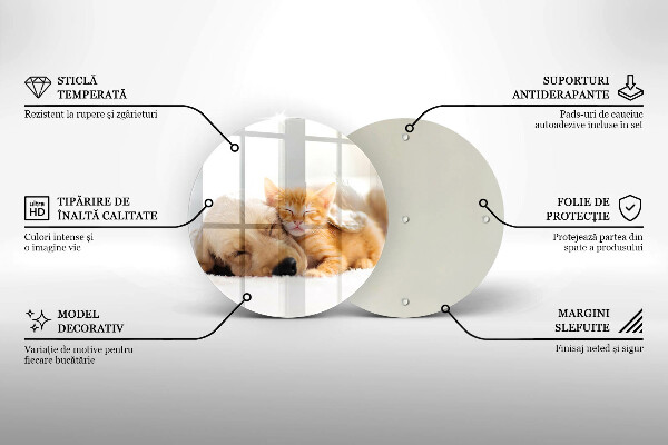 Kuchynská doska veľká zo skla Zvieratá pes a mačka