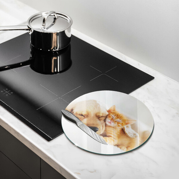 Kuchynská doska veľká zo skla Zvieratá pes a mačka