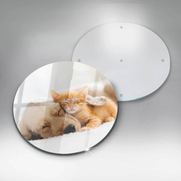 Kuchynská doska veľká zo skla Zvieratá pes a mačka