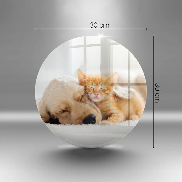 Kuchynská doska veľká zo skla Zvieratá pes a mačka