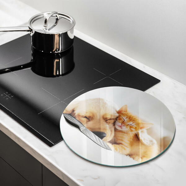 Kuchynská doska veľká zo skla Zvieratá pes a mačka