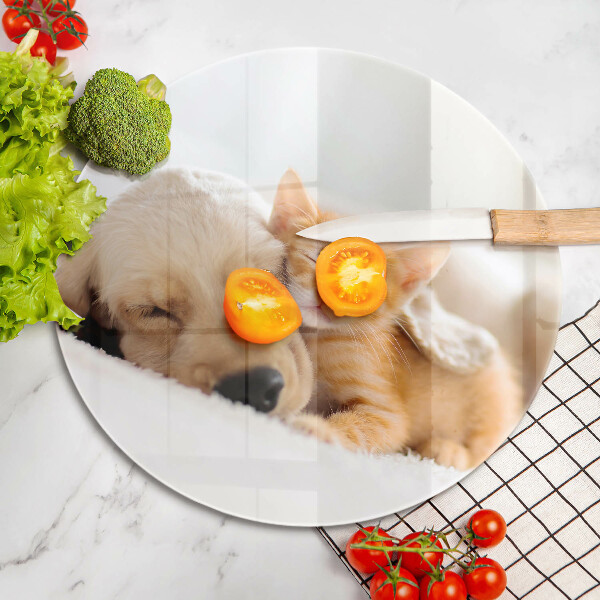 Kuchynská doska veľká zo skla Zvieratá pes a mačka