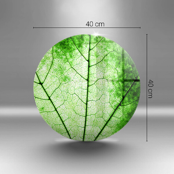 Kuchynská doska zo skla Ozdobný žilový list