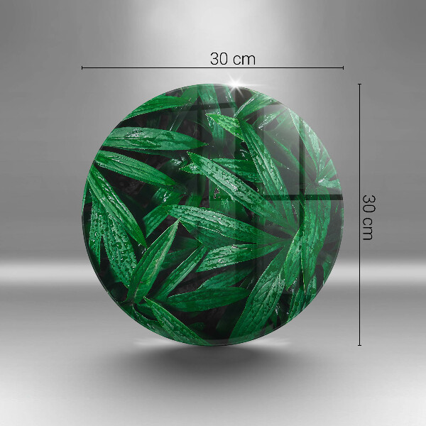 Kuchynská doska zo skla Listy rastlín