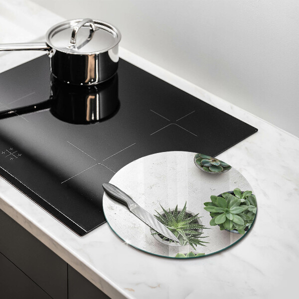 Kuchynská doska veľká zo skla Sukulenty na betóne