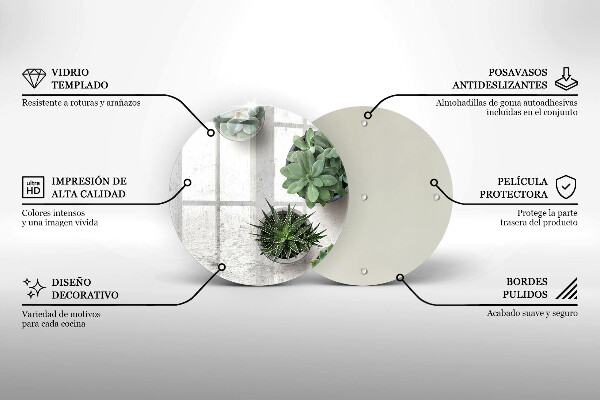Kuchynská doska veľká zo skla Sukulenty na betóne