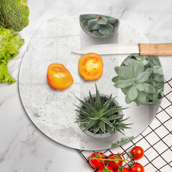 Kuchynská doska veľká zo skla Sukulenty na betóne