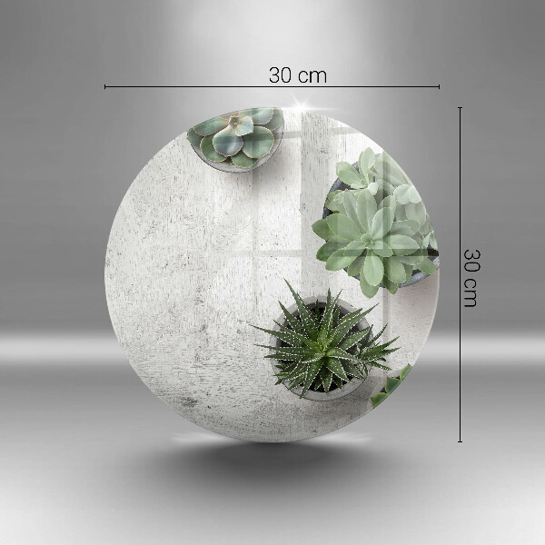 Kuchynská doska veľká zo skla Sukulenty na betóne