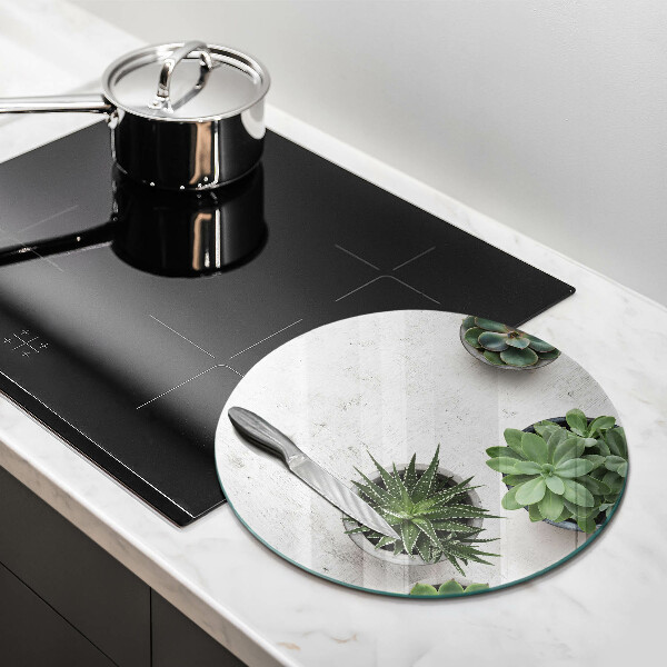 Kuchynská doska veľká zo skla Sukulenty na betóne