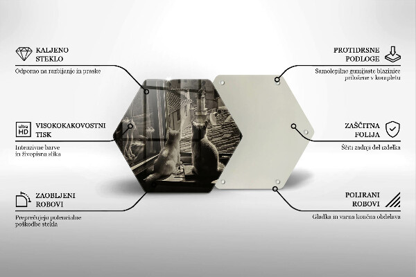 Kuchynská doska veľká zo skla Mesto mačky a okno