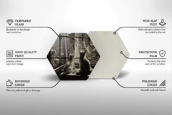 Kuchynská doska veľká zo skla Mesto mačky a okno