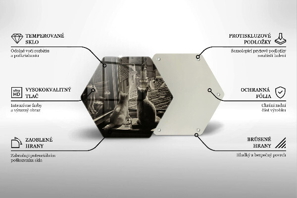 Kuchynská doska veľká zo skla Mesto mačky a okno