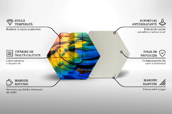 Kuchynská doska zo skla Farebné papagájové perie