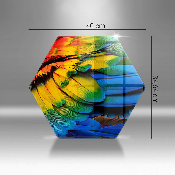 Kuchynská doska zo skla Farebné papagájové perie