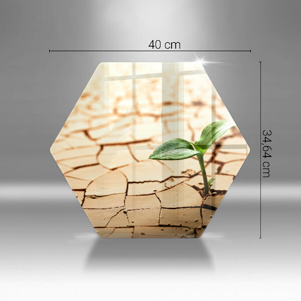 Kuchynská doska veľká zo skla Osamelá rastlina