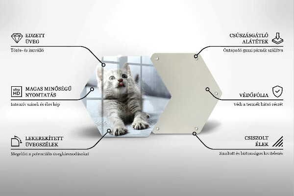 Kuchynská doska veľká zo skla Malé roztomilé mačiatko