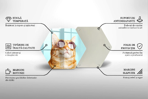 Kuchynská doska zo skla Červená mačka s okuliarmi