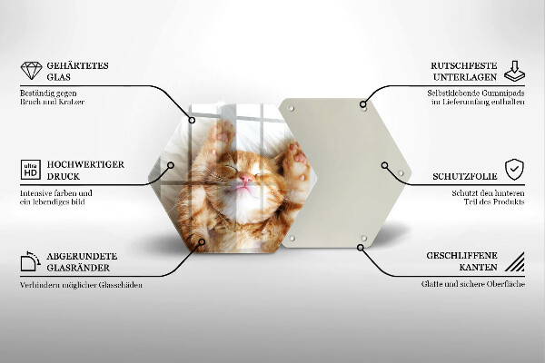 Kuchynská doska veľká zo skla Malé roztomilé mačiatko