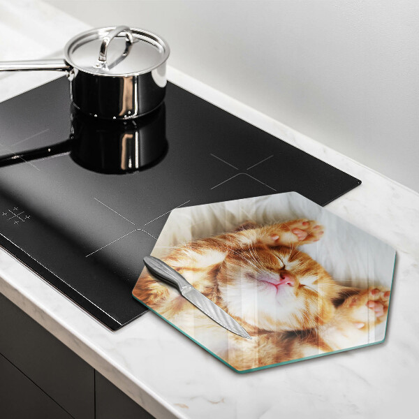 Kuchynská doska veľká zo skla Malé roztomilé mačiatko