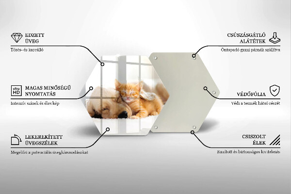 Kuchynská doska zo skla Zvieratá pes a mačka