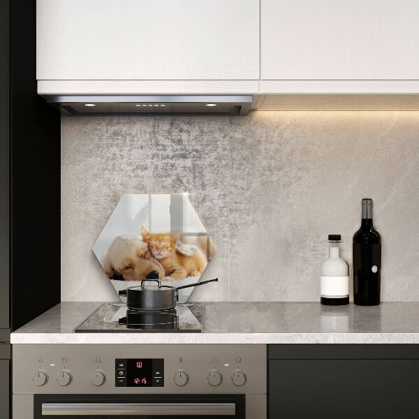 Kuchynská doska zo skla Zvieratá pes a mačka